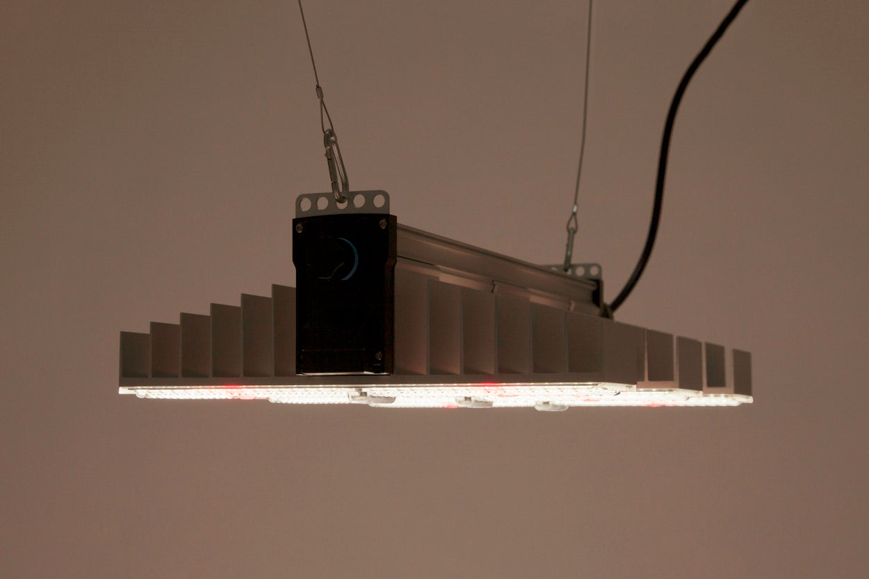 SANlight EVO 3-60 1.5, 200W LED