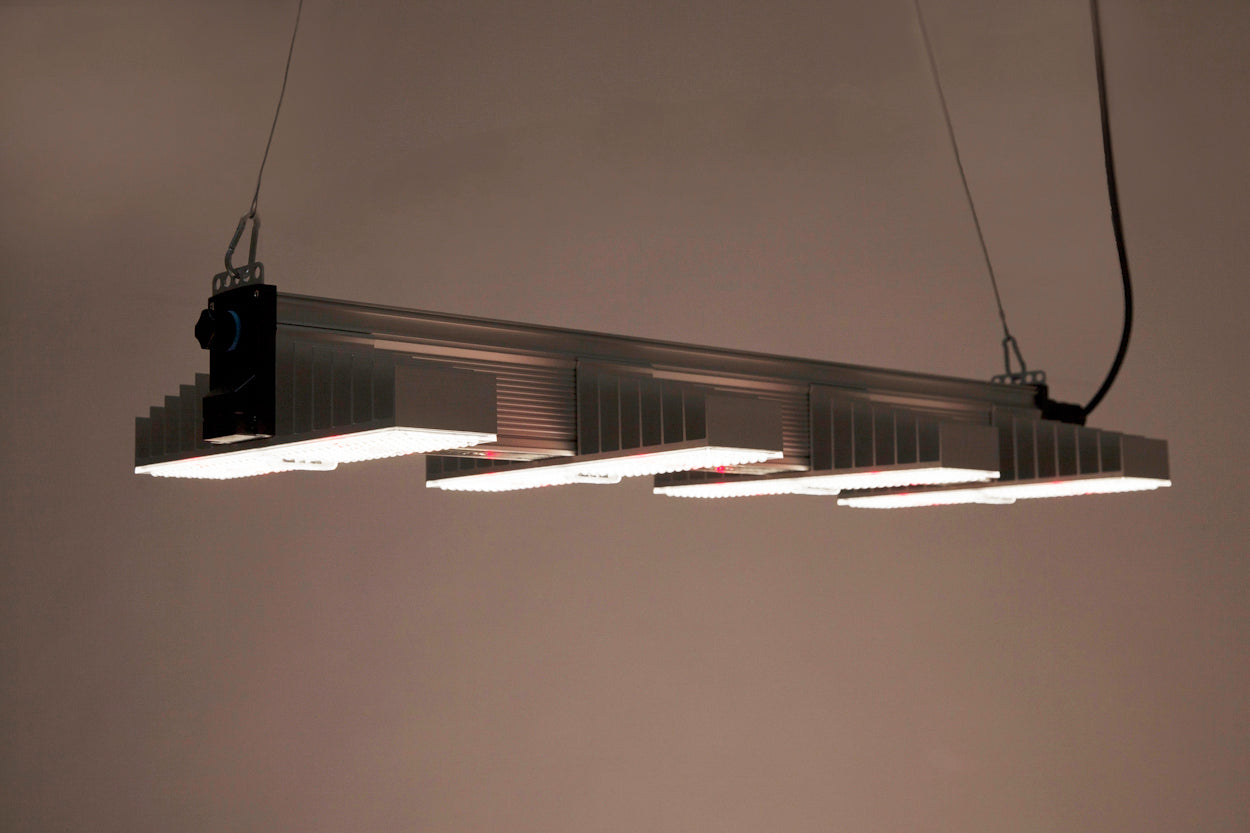 SANlight EVO 4-100 1.5, 265W LED