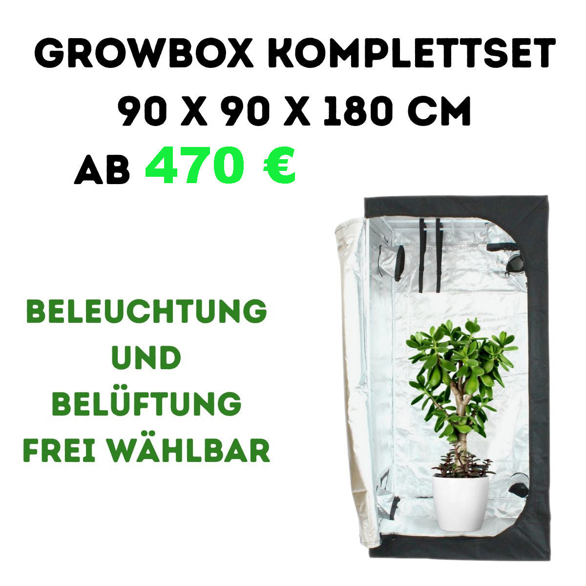 Growbox Komplettset 90x90x180 cm