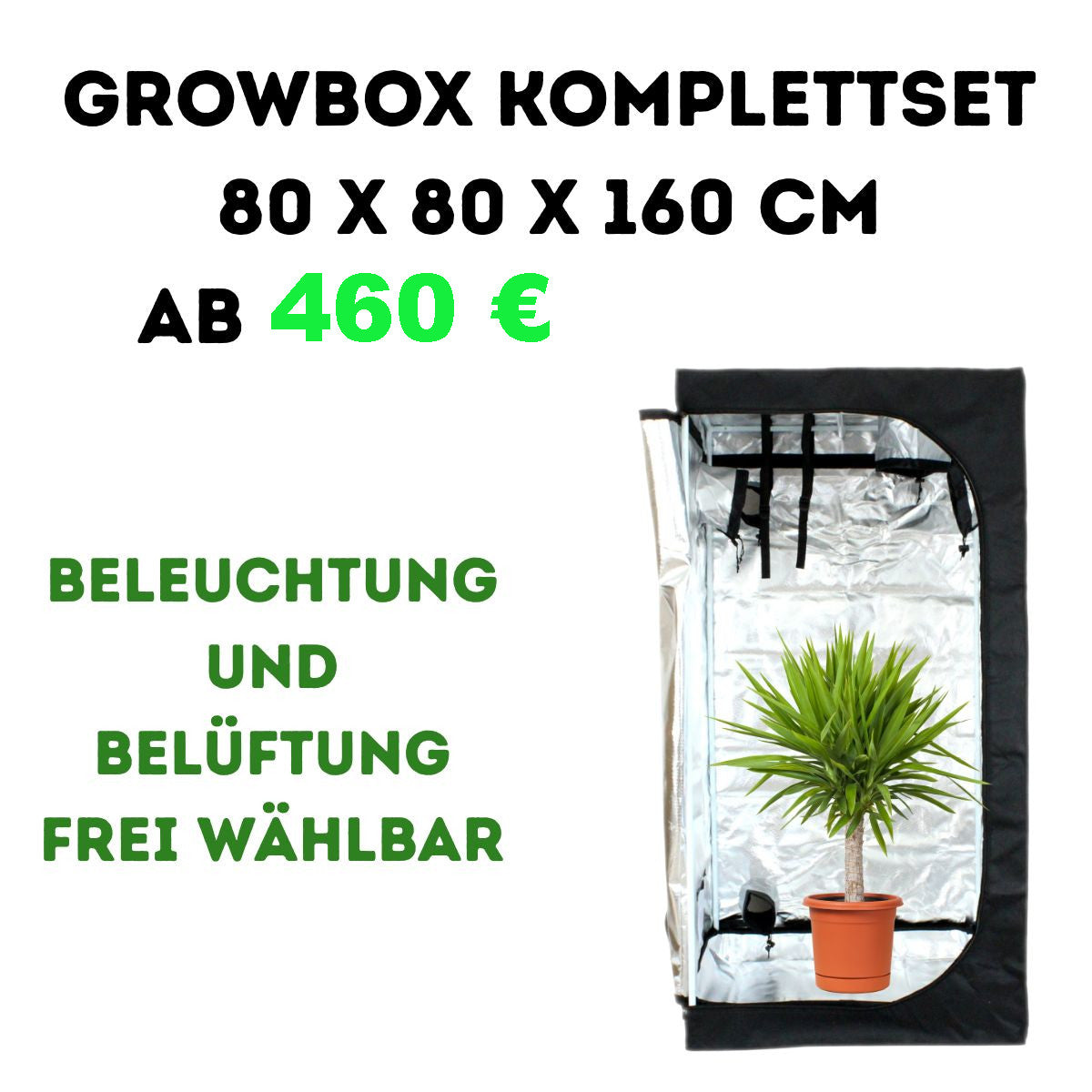 Growbox Komplettset 80x80x160 cm