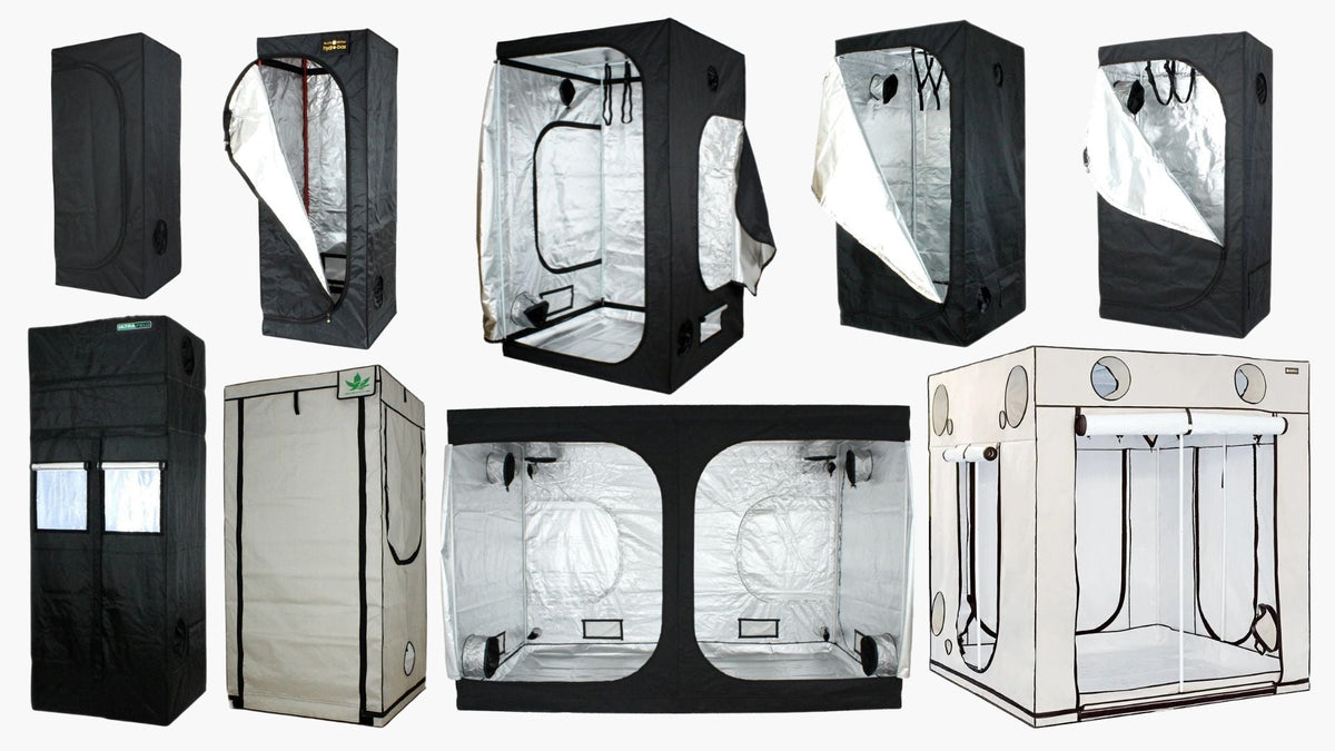 Growboxen