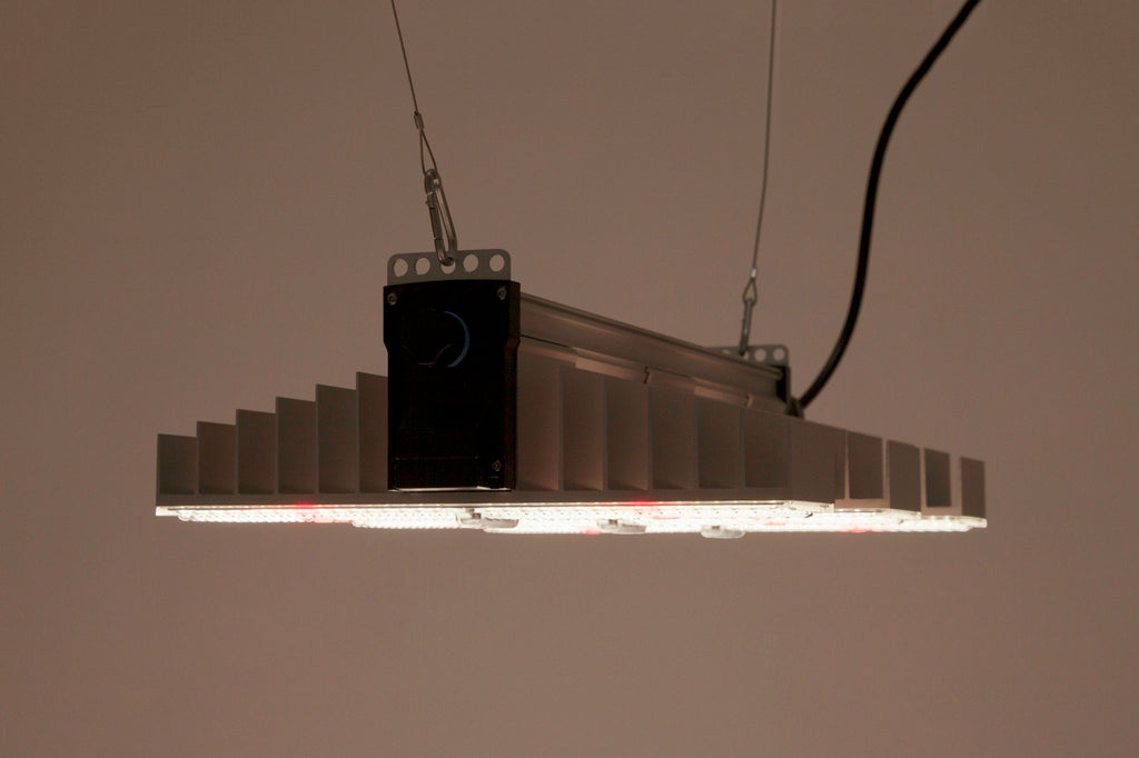 SANlight EVO 3-60 1.5, 200W LED