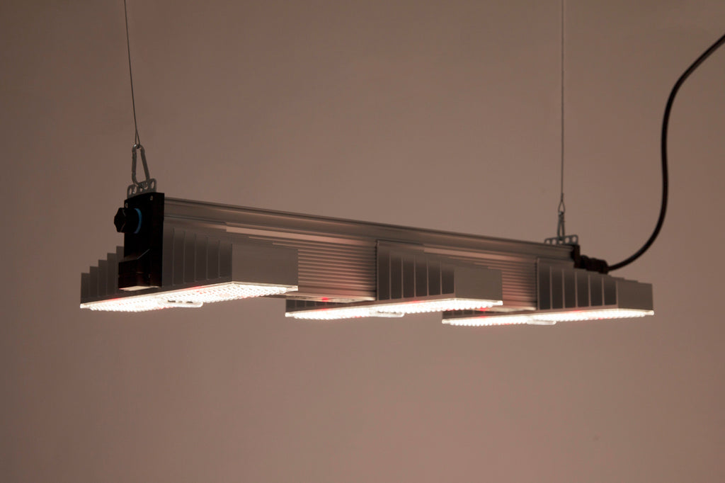 SANlight EVO 3-80 1.5, 200W LED