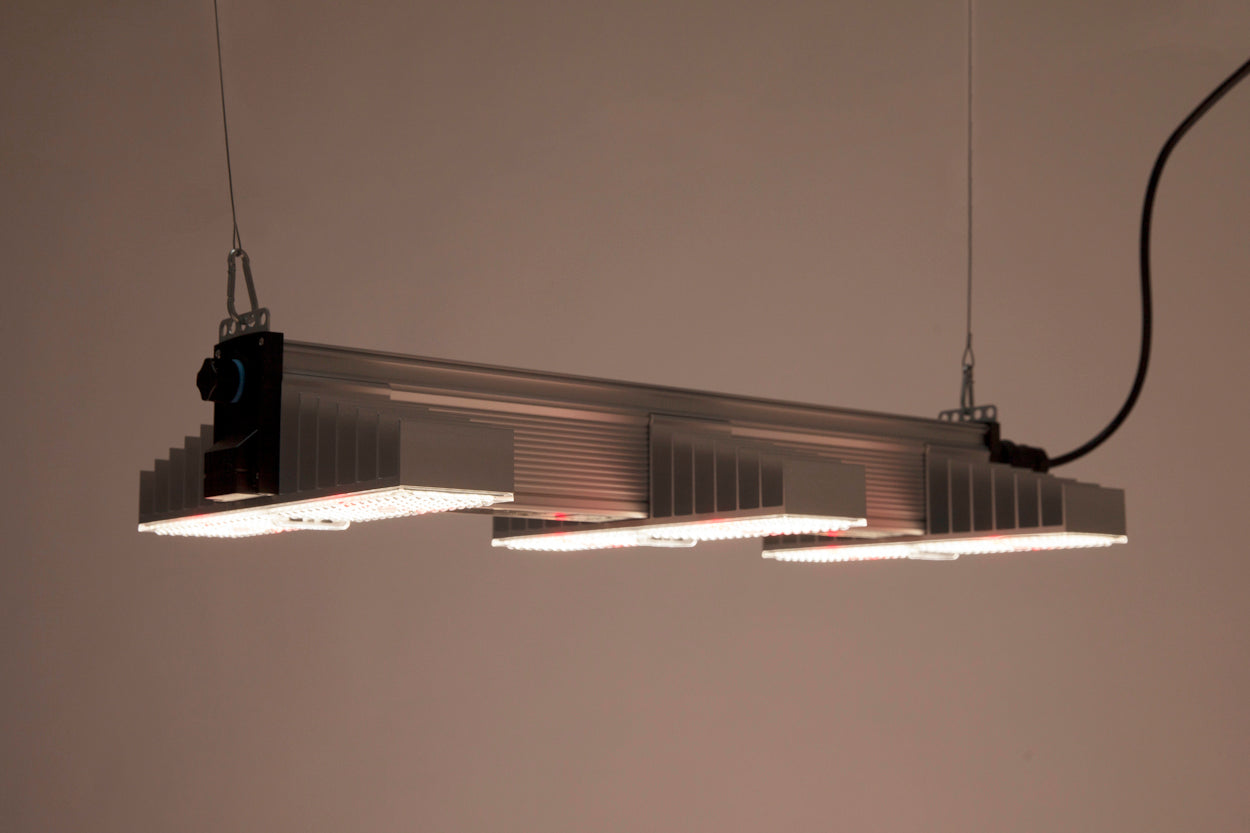 SANlight EVO 3-80 1.5, 200W LED