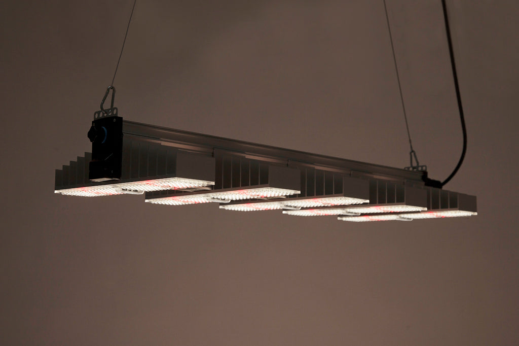 SANlight EVO 5-100 1.5, 340W LED