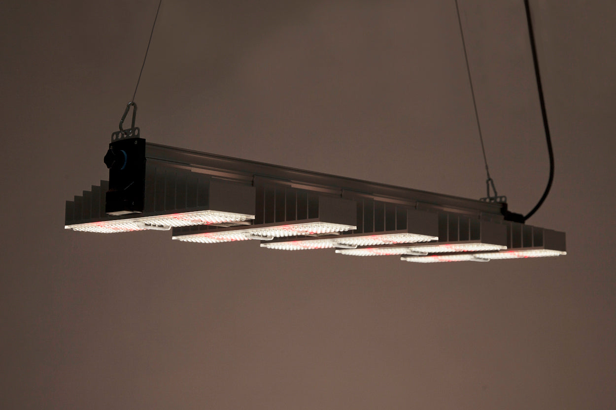 SANlight EVO 5-100 1.5, 340W LED